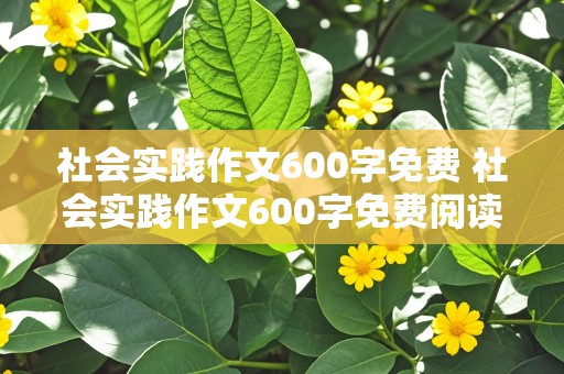 社会实践作文600字免费 社会实践作文600字免费阅读