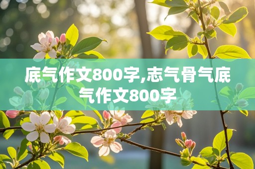 底气作文800字,志气骨气底气作文800字