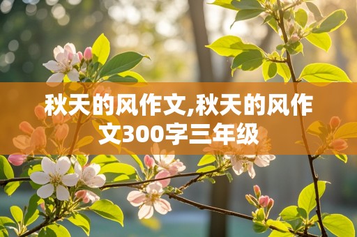 秋天的风作文,秋天的风作文300字三年级