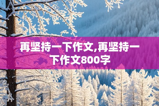 再坚持一下作文,再坚持一下作文800字