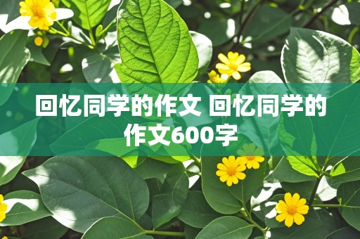 回忆同学的作文 回忆同学的作文600字