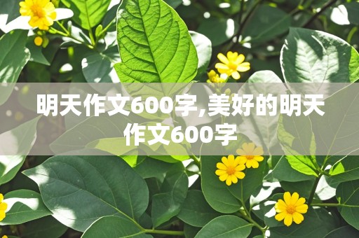 明天作文600字,美好的明天作文600字