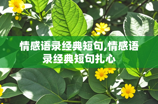 情感语录经典短句,情感语录经典短句扎心