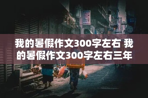 我的暑假作文300字左右 我的暑假作文300字左右三年级