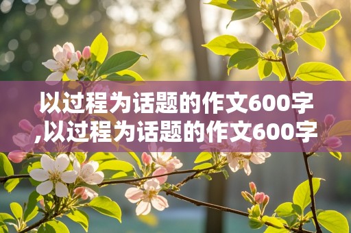 以过程为话题的作文600字,以过程为话题的作文600字记叙文