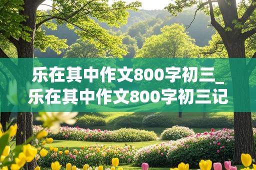 乐在其中作文800字初三_乐在其中作文800字初三记叙文