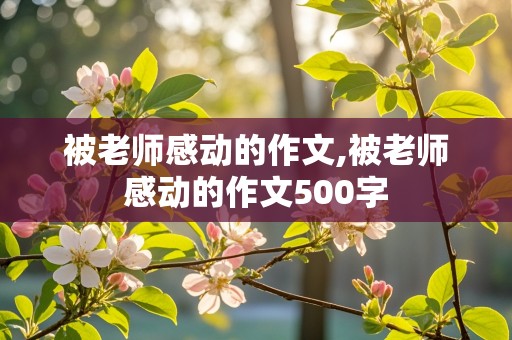 被老师感动的作文,被老师感动的作文500字