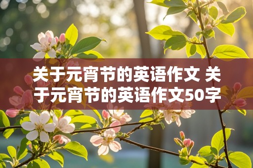 关于元宵节的英语作文 关于元宵节的英语作文50字