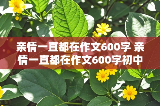 亲情一直都在作文600字 亲情一直都在作文600字初中