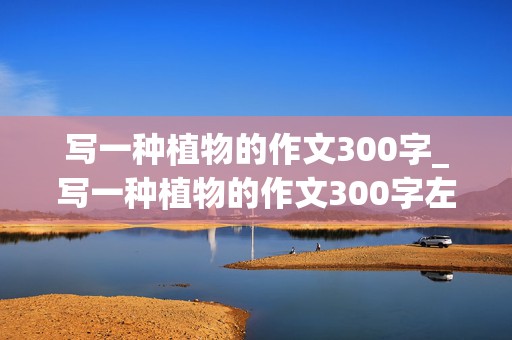 写一种植物的作文300字_写一种植物的作文300字左右