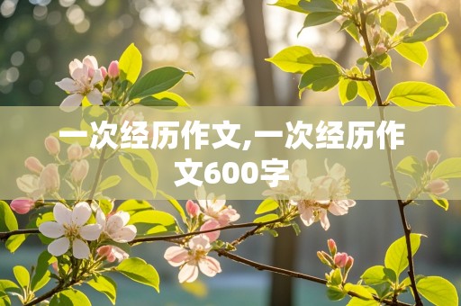 一次经历作文,一次经历作文600字