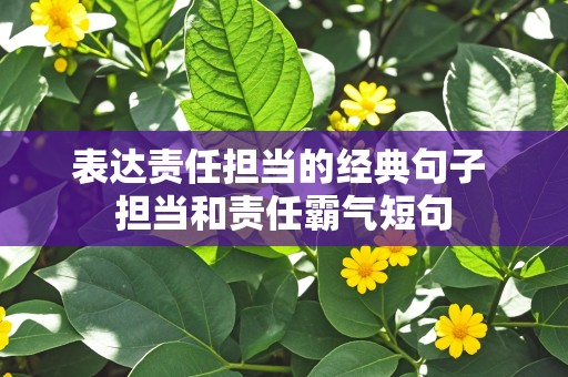 表达责任担当的经典句子 担当和责任霸气短句