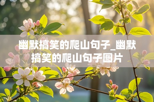 幽默搞笑的爬山句子_幽默搞笑的爬山句子图片