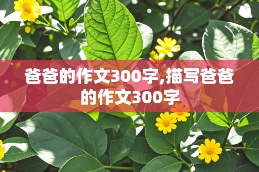 爸爸的作文300字,描写爸爸的作文300字