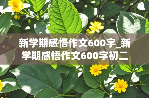 新学期感悟作文600字_新学期感悟作文600字初二