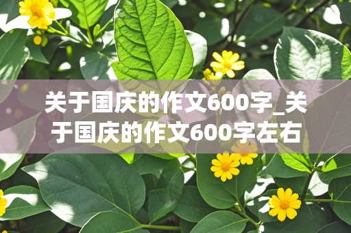 关于国庆的作文600字_关于国庆的作文600字左右