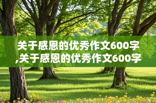 关于感恩的优秀作文600字,关于感恩的优秀作文600字带评语