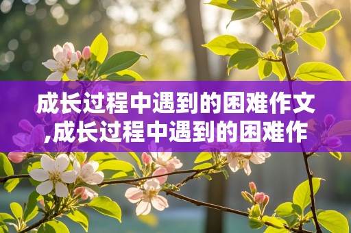 成长过程中遇到的困难作文,成长过程中遇到的困难作文300字