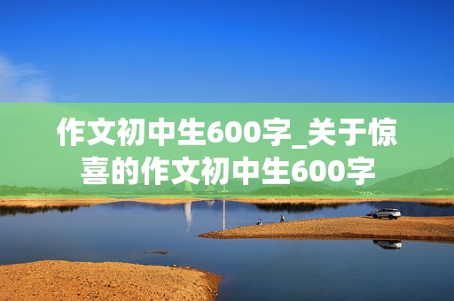 作文初中生600字_关于惊喜的作文初中生600字