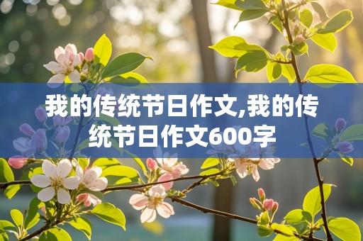 我的传统节日作文,我的传统节日作文600字