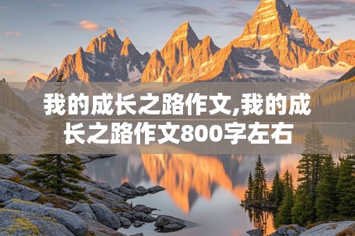 我的成长之路作文,我的成长之路作文800字左右