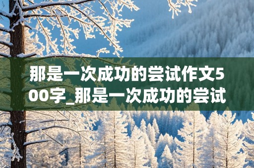 那是一次成功的尝试作文500字_那是一次成功的尝试作文450字