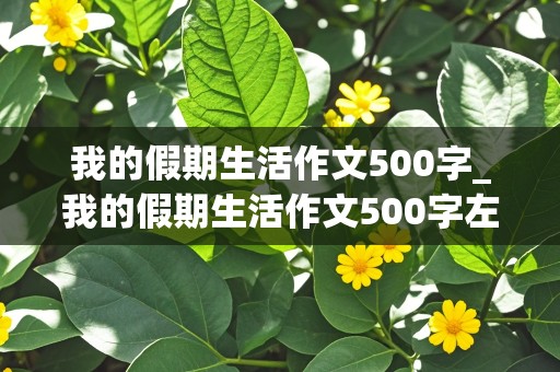 我的假期生活作文500字_我的假期生活作文500字左右初中