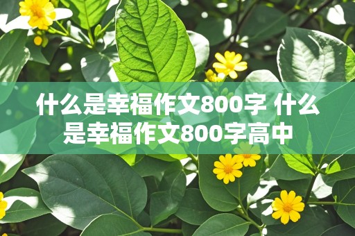 什么是幸福作文800字 什么是幸福作文800字高中