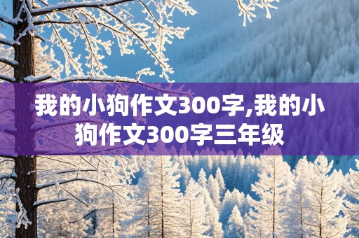 我的小狗作文300字,我的小狗作文300字三年级