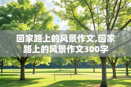 回家路上的风景作文,回家路上的风景作文300字