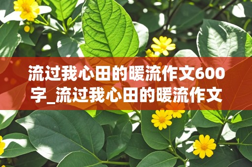 流过我心田的暖流作文600字_流过我心田的暖流作文600字初中