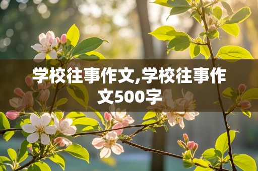 学校往事作文,学校往事作文500字