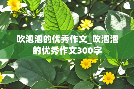 吹泡泡的优秀作文_吹泡泡的优秀作文300字