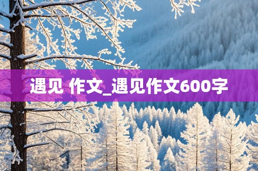 遇见 作文_遇见作文600字