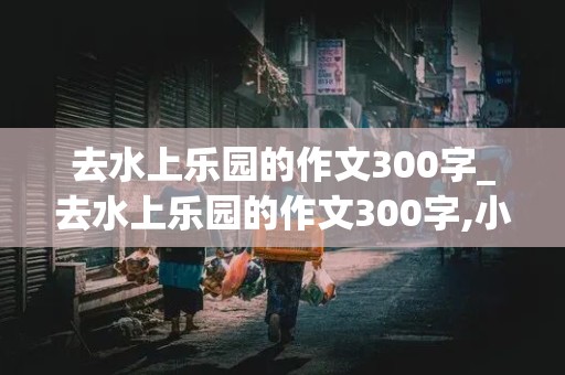 去水上乐园的作文300字_去水上乐园的作文300字,小学生作文