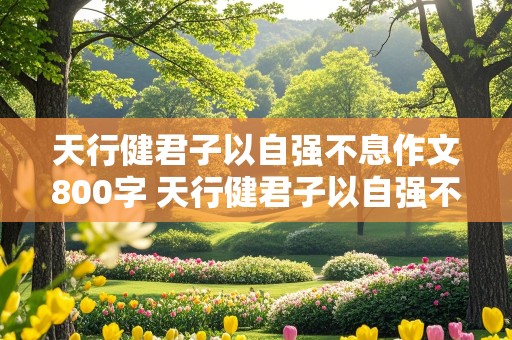 天行健君子以自强不息作文800字 天行健君子以自强不息作文800字议论文