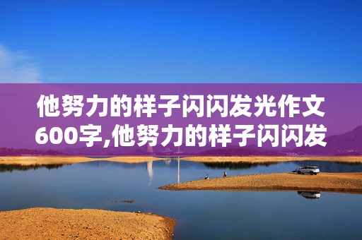 他努力的样子闪闪发光作文600字,他努力的样子闪闪发光作文600字左右