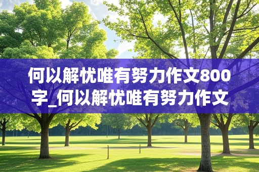 何以解忧唯有努力作文800字_何以解忧唯有努力作文800字初三