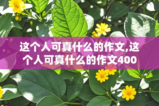 这个人可真什么的作文,这个人可真什么的作文400