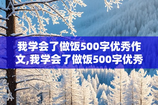 我学会了做饭500字优秀作文,我学会了做饭500字优秀作文四年级