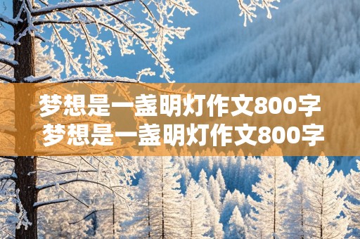 梦想是一盏明灯作文800字 梦想是一盏明灯作文800字初中