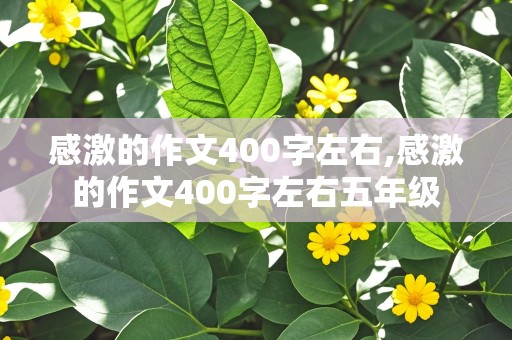 感激的作文400字左右,感激的作文400字左右五年级