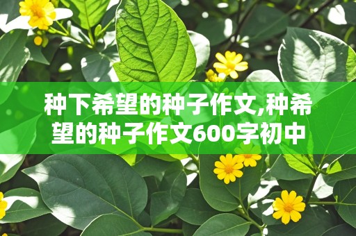 种下希望的种子作文,种希望的种子作文600字初中