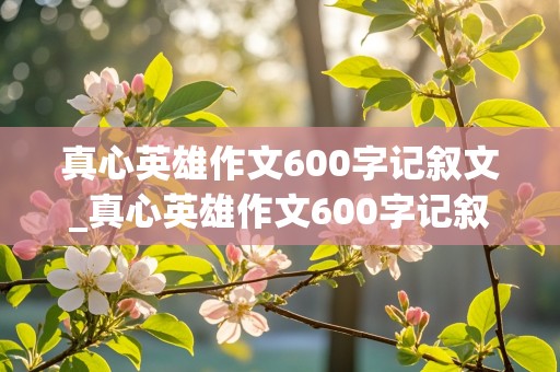 真心英雄作文600字记叙文_真心英雄作文600字记叙文六年级