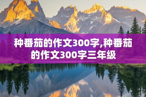 种番茄的作文300字,种番茄的作文300字三年级