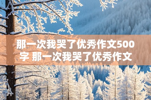 那一次我哭了优秀作文500字 那一次我哭了优秀作文500字初一