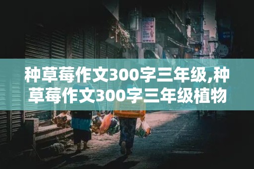 种草莓作文300字三年级,种草莓作文300字三年级植物