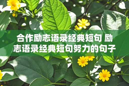 合作励志语录经典短句 励志语录经典短句努力的句子