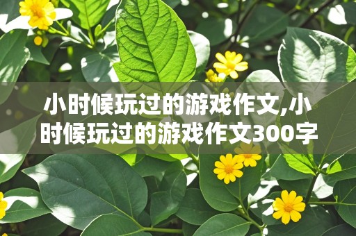 小时候玩过的游戏作文,小时候玩过的游戏作文300字