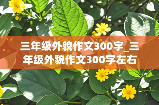 三年级外貌作文300字_三年级外貌作文300字左右